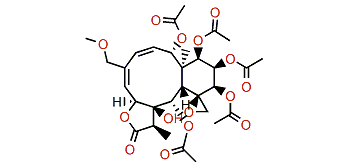 Juncenolide D